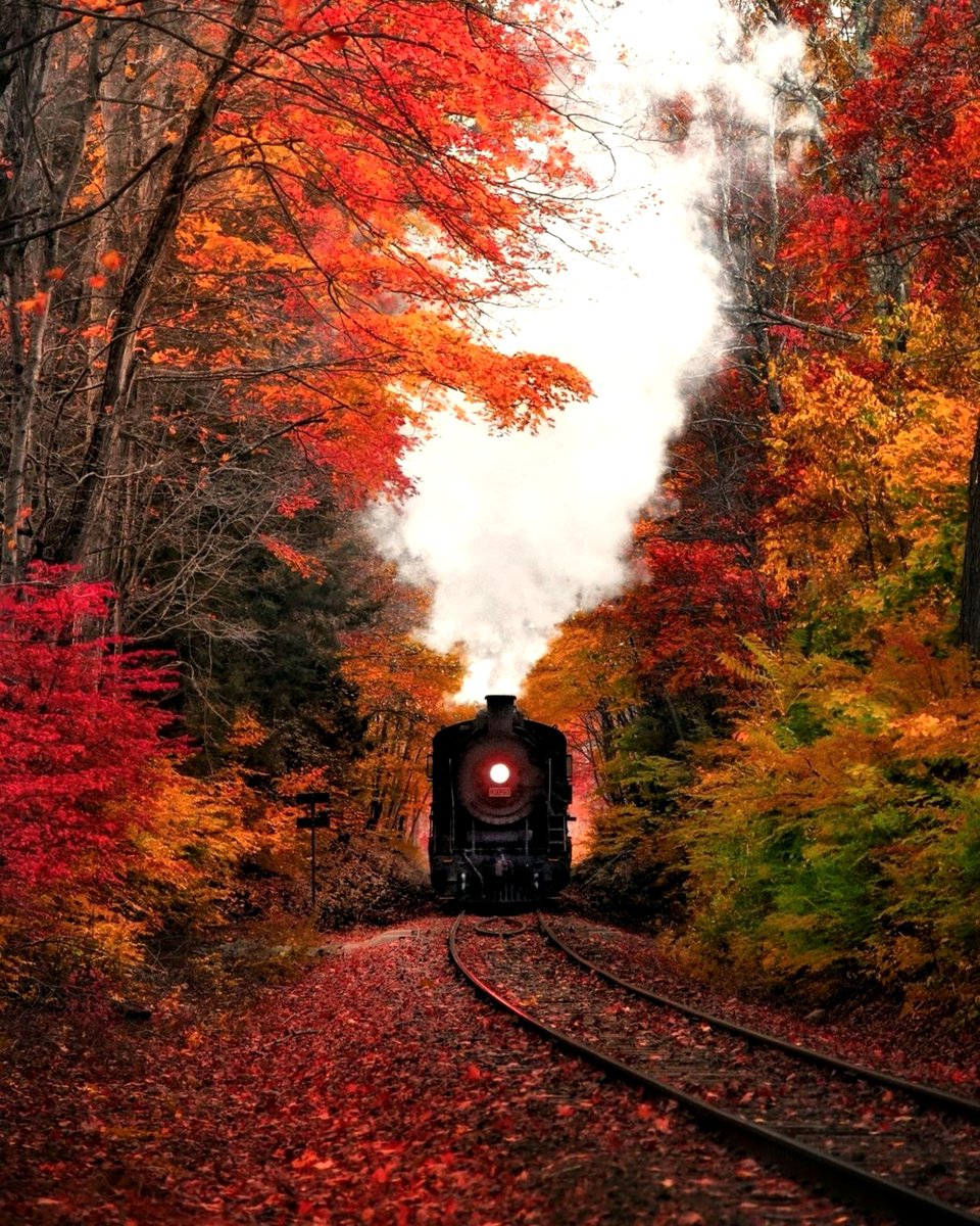 DesignSemo's tweet photo. Semo's Gaze  0038   It is a season that teaches us that change can be beautiful https://t.co/udpM6yd4jy