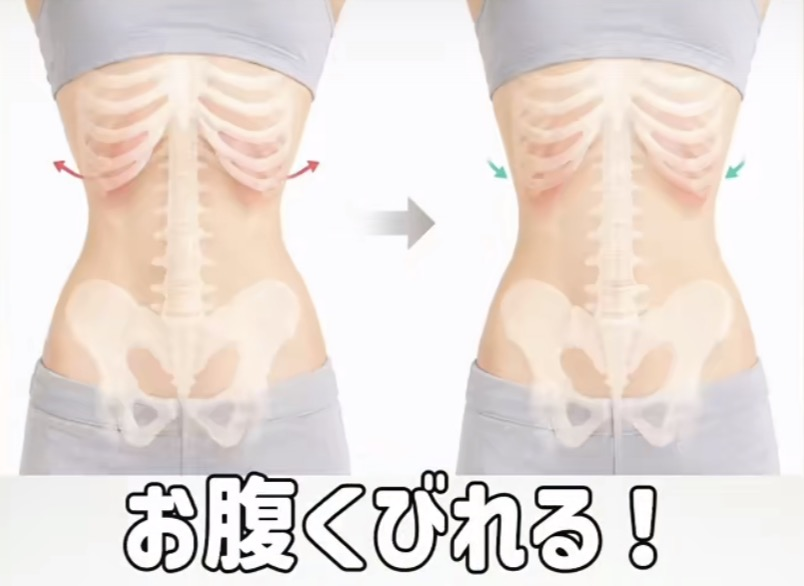 hogusu_diet's tweet photo. 腹筋ばっかやってるのにお腹変わらない人コレ。肋骨と骨盤まわり一緒に動かすだけ。1日20回で姿勢まで整いやすい https://t.co/fRhN2YN22f