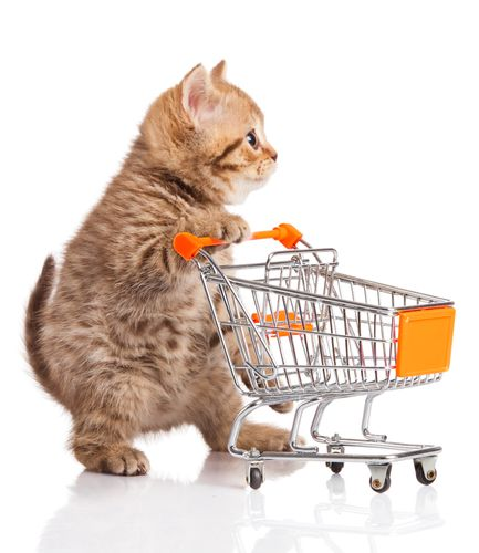 bliblidotcom's tweet photo. 🛒 KERANJANG BELANJA KAMU ITU KUBURAN MIMPI ATAU RENCANA MASA DEPAN?

Yuk NKKCHI 'Nanti Kita Kasih Cepek Hari Ini!
- Quote Tweet 1 barang yang udah lama nyangkut di keranjang tapi belum di-checkout
- Follow @bliblidotcom
- RT LIKE tweet ini
- Pemenang acak

let's goo 🛍️ #CekDuluDiBlibli #NoBlablaDiBlibli