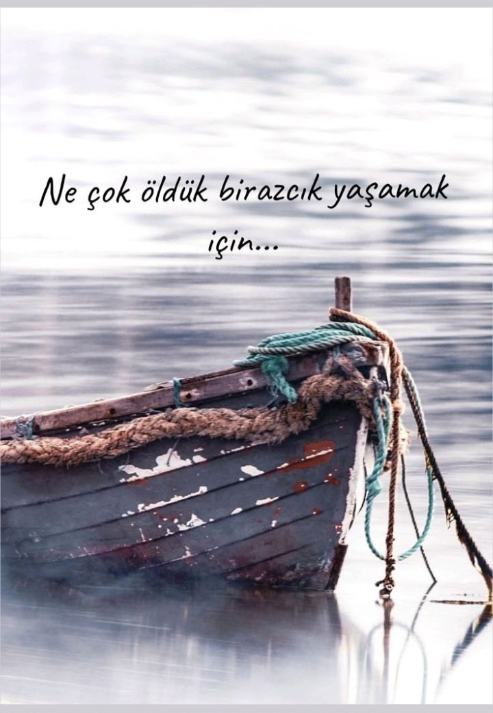 Ylnz89's tweet photo. https://t.co/qPrrpapfD3