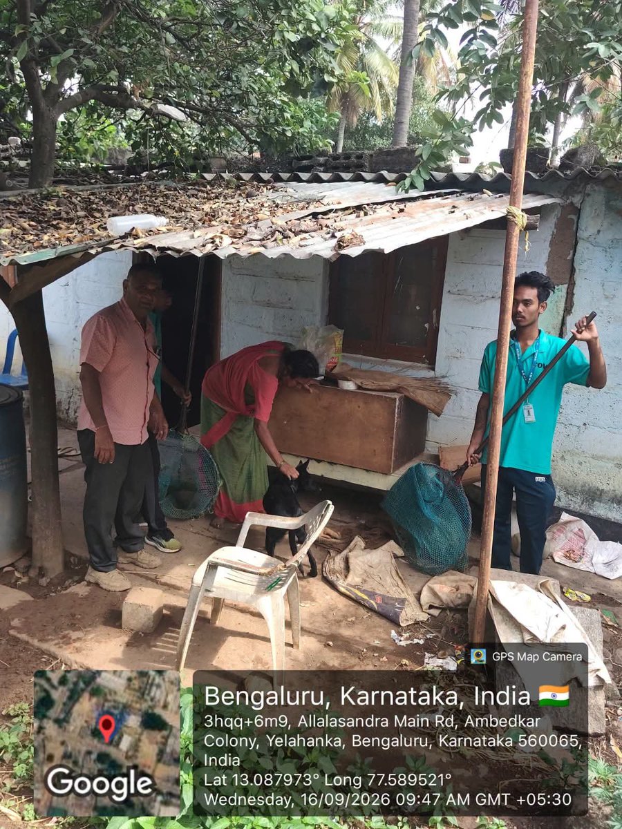 GBA_office's tweet photo. 🐕 Animal Birth Control (ABC) Programme

Today, 8 stray dogs were caught at Yelahanka under the Animal Birth Control (ABC) programme for sterilisation and vaccination.

The initiative supports humane stray-dog population management, promotes public safety and contributes to the overall well-being of animals in the city.

#BNCC #DKShivakumar #KrishnaByreGowda #GreaterBengaluruAuthority #AnimalBirthControl #ABCProgramme #StrayDogManagement