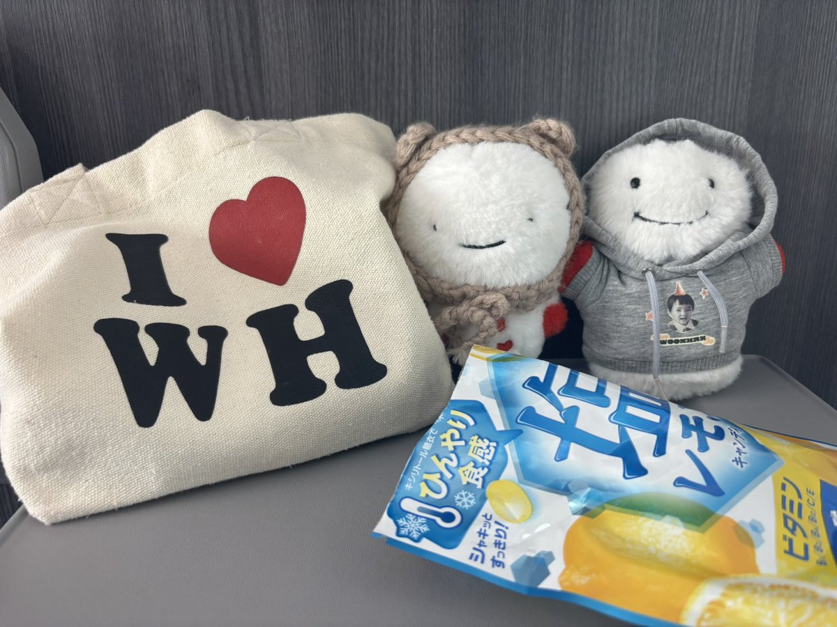 wms_19's tweet photo. 便乗して
うちの"てんてんぴー"も
見てほしいです(´ω`)🫶🏻💖 https://t.co/cP6FgIX5KQ