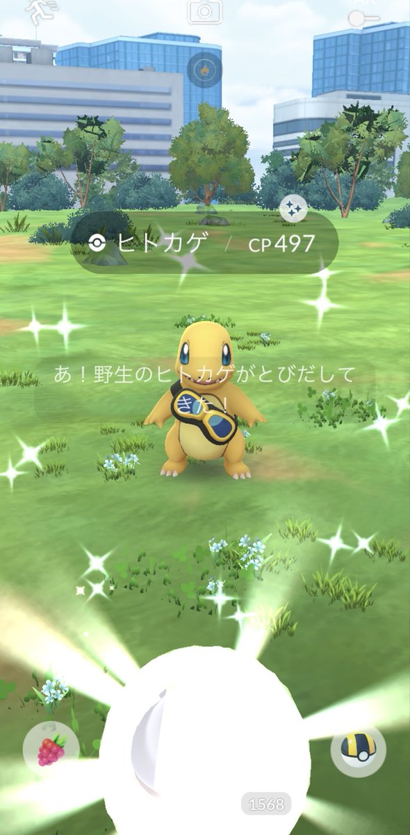 chihuahuamen's tweet photo. きたー✨️
タスクがんがんこなしてるー
でもこの子は野生ー(๑˃̵ᴗ˂̵)
#ポケモンGO #PokemonGO
#色違い #Shiny 
#ヒトカゲ https://t.co/SO1adkjBLz