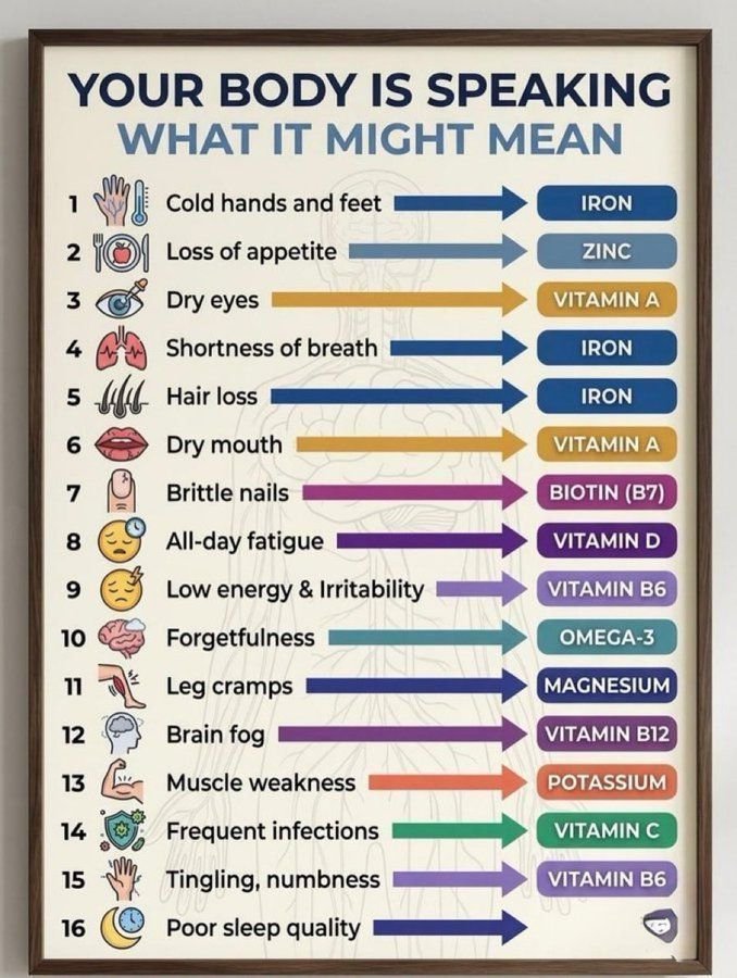 Fa21519230's tweet photo. 🚨🚨 LOS MÉDICOS NUNCA TE DIRAN ESTO:
1. Ansiedad – Magnesio, B6, Omega-3
2. Depresión – D, B12, Omega3
3. Irritabilidad – B1, B6, Magnesio
4. Niebla mental – B1, B12, Omega3
5. Insomnio – Magnesio, B12, D
6. Baja libido – Zinc, D, B3
7. Estreñimiento – Magnesio, C, Fibra
8. Espasmos oculares – Magnesio, B12, Potasio
9. Antojos de azúcar – Cromo, Magnesio, Zinc
10. Manos frías: Hierro11.  Falta de apetito: Zinc
12. Ojos secos: Vitamina A13.  Falta de aliento: Hierro
14. Caída del cabello: Hierro
15. Boca seca: Vitamina A
16. Uñas quebradizas: Biotina (B7)
17. Cansancio todo el día: Vitamina D
18. Sentirse decaído: Vitamina B6
19. Olvidos: Omega 3
20. Calambres en las piernas: Magnesio
21. Niebla mental: Vitamina B12
22. Debilidad muscular: Potasio
23. Hormigueo o entumecimiento: Vitamina B6
24. Mala calidad del sueño: Magnesio
25. Peróxido de hidrógeno 3% - Dientes blanqueados en 5 días sin químicos 
26. Enjuague con aceite de coco – eliminó la enfermedad de las encías y el mal aliento en 7 días 
27. Baños con sal de Epsom - eliminó el 90% de las toxinas musculares durante la noche 
28. Té de perejil fresco – elimina el exceso de agua y reduce la hinchazón durante 48 horas 
29. Jarabe de saúco – detuvo resfriados y gripe en 24 horas 
30. Cayena en agua tibia – detuvo la acidez estomacal más rápido que cualquier antiácido. 
31. Selenio (2 nueces de Brasil) – revirtió naturalmente problemas de tiroides 
32. Chucrut probiótico – mejor que cualquier cápsula para arreglar la digestión 
33. Aceite de clavo es mejor que un viaje al dentista para matar el dolor de muela 
34. Semillas de Hinojo Después de las Comidas – Hinchazón Curada Para Siempre
🚨🚨 Tu "salud mental" y otros síntomas podrían ser una simple deficiencia de micronutrientes disfrazada... 
Consulta siempre con tu médico, aunque me temo que de nutrición poca idea... Ellos son expertos recetando drogas sintéticas para paliar síntomas, encontrar la raíz de las enfermedades no interesa al modelo de negocio...