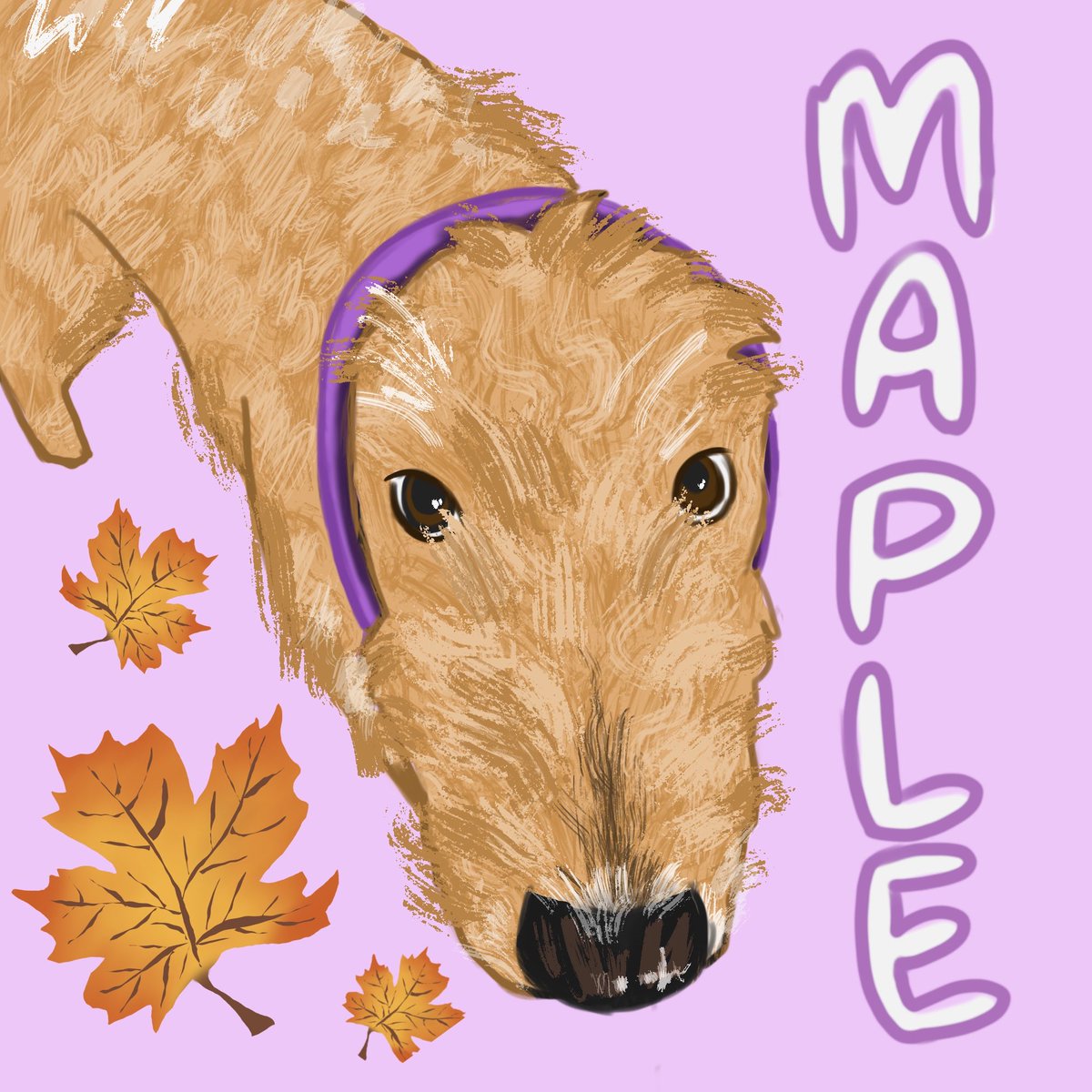 toke_gg's tweet photo. another pet portrait, this is maple :D 

still have 20 commissions spots open only $5 and I’ll draw your pet! it’ll be a quick turnaround andddd you get the speedpaint!  link below 😚 

#petportrait #artcommission #petart https://t.co/6pczcBZnEO