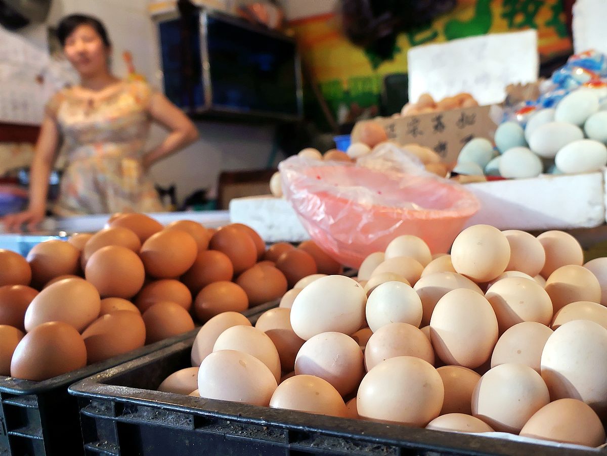 inglet0's tweet photo. Just stocked up on farm-fresh eggs, ripe tomatoes, and crispy spinach from the local market! Perfect for tonight’s quick, healthy dinner prep. ， https://t.co/qnoJ899sXT