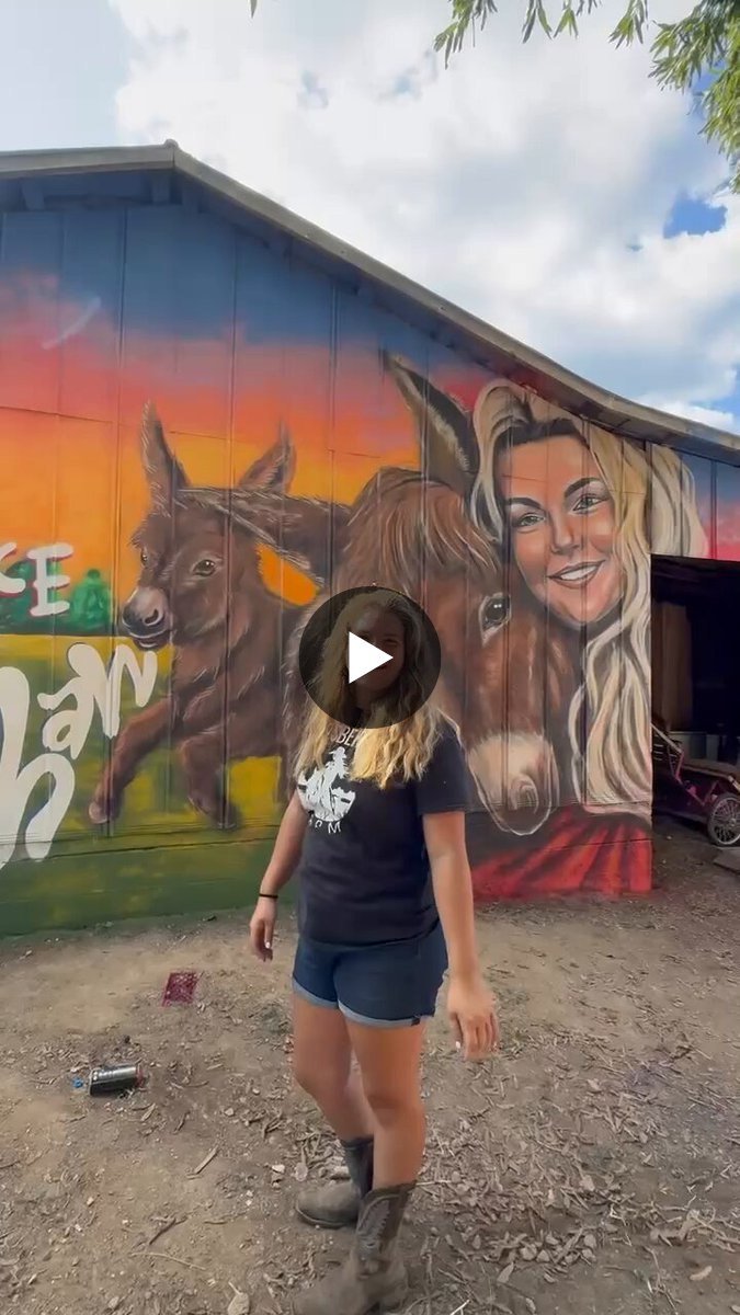 Andian08uk's tweet photo. This is a project by the $Heehaw community ,in addition to raising funds via GoFundMe, we commissioned an artist to create a mural at the farm as a tribute to Heehaw. We believe that if this project goes smoothly, $Heehaw will unite @solana. @Justice4HeeHaw https://t.co/wYELi9CCiD