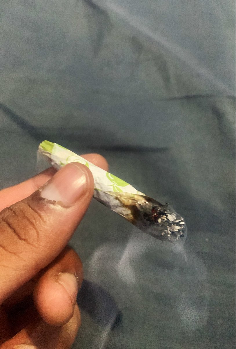 420_GPD's tweet photo. No tenia acceso a la cuenta pero regresamos con más porros, weed y memes…🔥🍀Estén atentos que voy a estar provando mercancia de diferente proveedores para que no te estafen😉

#weed #porros #420 #sigueme #viral
#productos420 #mrweed #marihuanos
#buenasvibras #amorYPaz https://t.co/QEseWD1abc