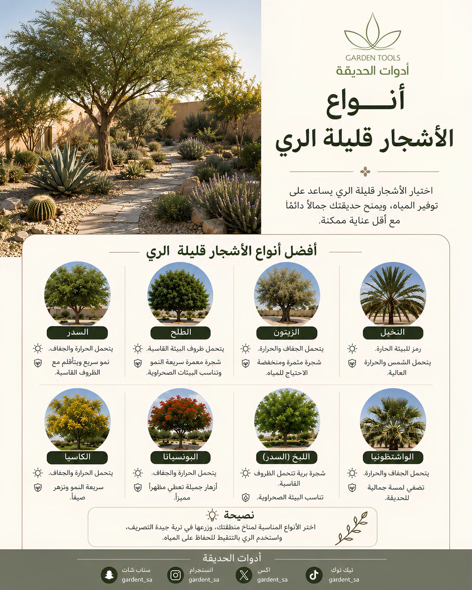 gardent_sa's tweet photo. أنواع الأشجار قليلة الري  ✨

#أدوات_الحديقة #ورود #اشجار #حدائق https://t.co/ZKRUE9Qw7n