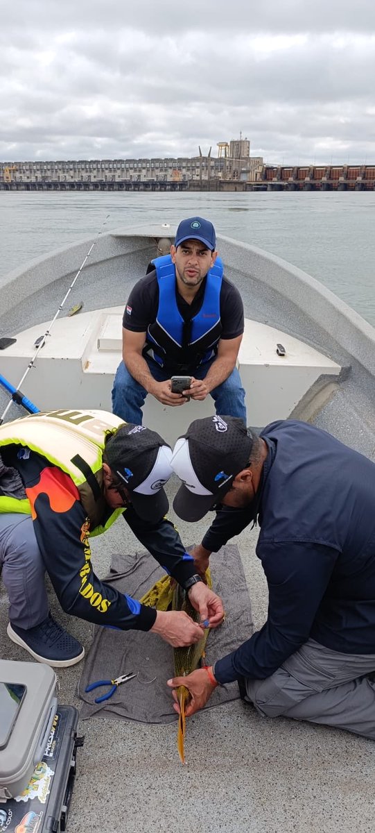 josealvarengab's tweet photo. La semana anterior estuvimos acompañando el proyecto científico “tras la estela del tigre” donde se marcan Dorados y se monitorea con radiotelemetria el comportamiento de la especie y cómo influye en ellos la presión pesquera el ciclo hidrológico entre otros. https://t.co/gb6WdrN4qU