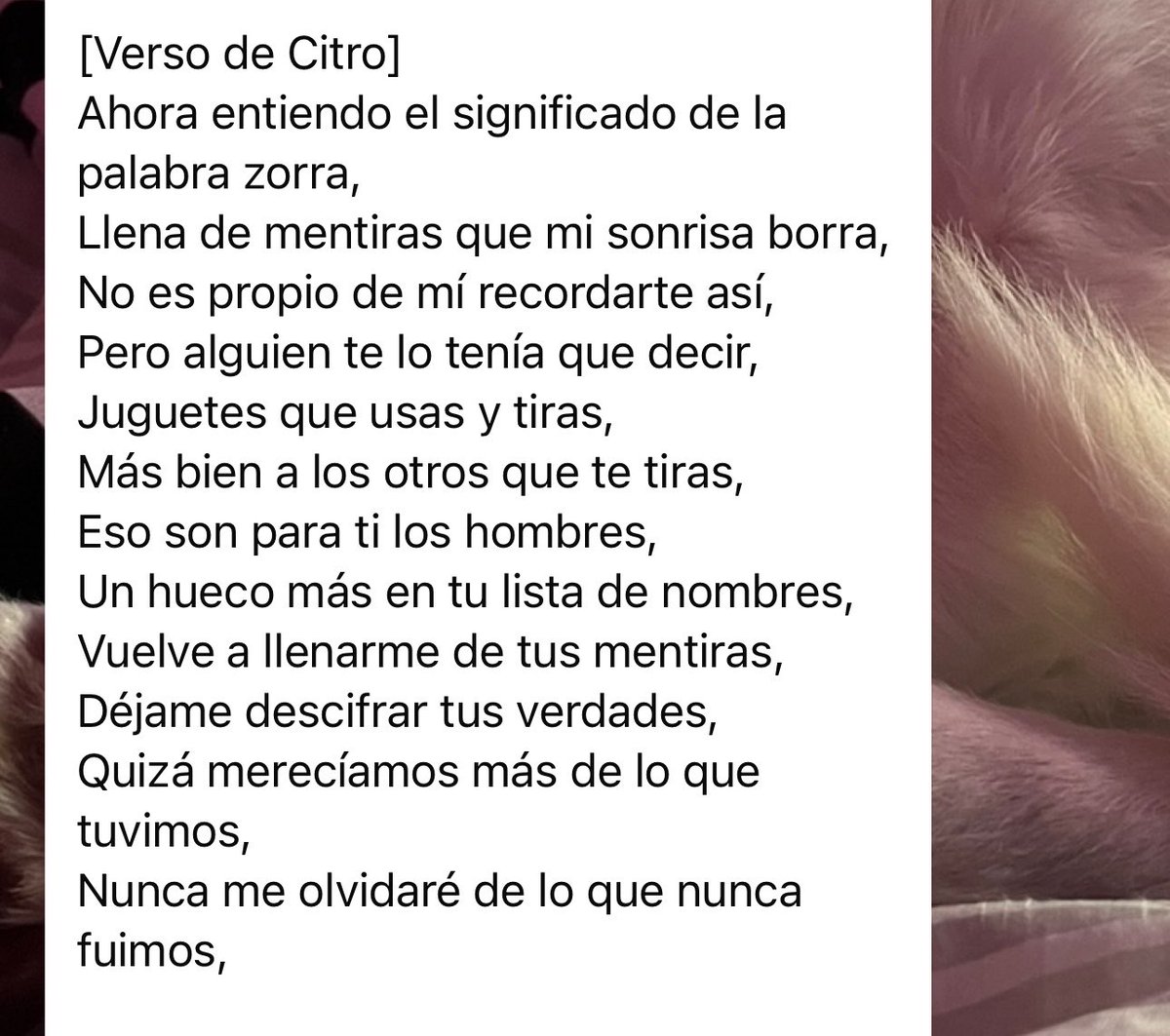 lxiireee's tweet photo. Un día citroën y Ce se despertaron, le dedicaron una canción a dos personas y, con dos huevos, pusieron audios de esas dos personas al final de la canción (ni shakira llegó a tanto con el sal-pique) https://t.co/FaZGUsWU8a