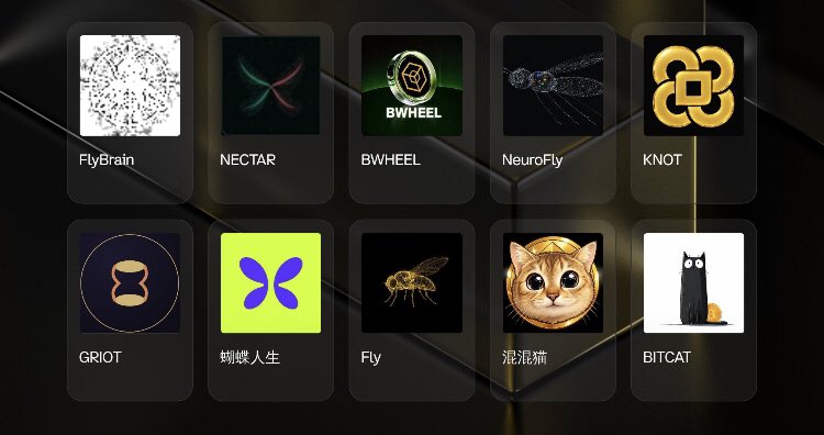 BNBgemz's tweet photo. 🚨 BNB CHAIN MEMECOIN SPOTLIGHT ⚡️
⏱️ Last 24H

🔥 BWHEEL | @BWHEELBNCB
🧠 NeuroFly | @NeuroFlyBSC
🪢 KNOT | @knotdotfun
🎭 GRIOT | @Griotnative
🪰 Fly | @fruitfliesBsc
🐱 混混猫 | @ThugCat_BSC
😼 BITCAT | @BitcatBNB
🧬 FlyBrain
🍯 NECTAR
🦋 蝴蝶人生

👀 #bnb #crypto https://t.co/WIsa034GTe