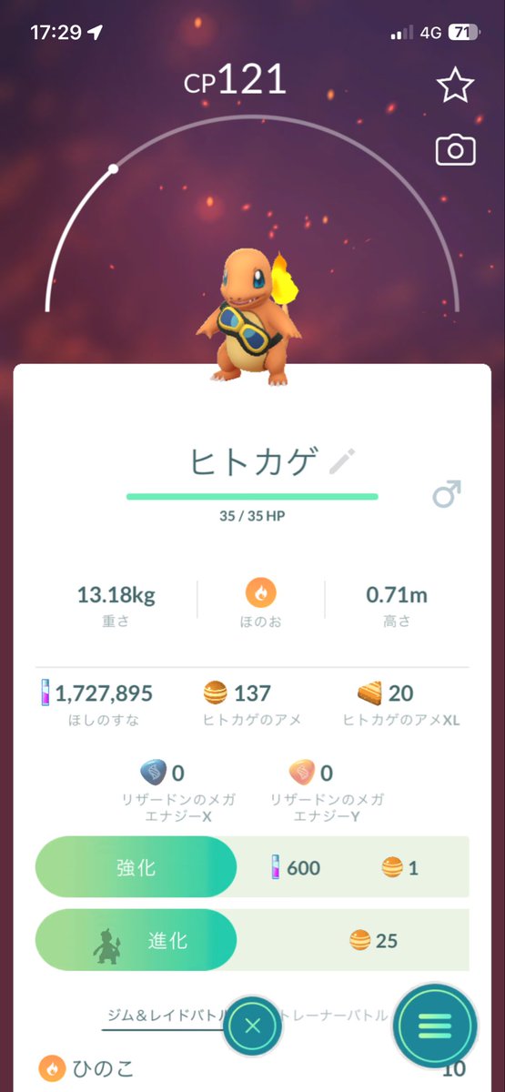 vtl611's tweet photo. とりあえず見つけ次第ヒトカゲ捕獲してたら、色ウェーニバルとエンカウントした！ https://t.co/deTNGHCkgw