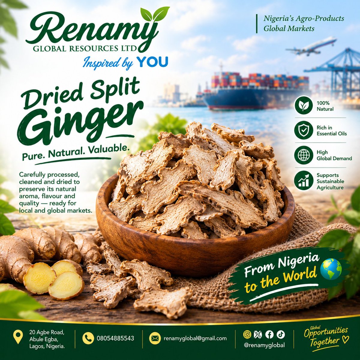 renamyglobal1's tweet photo. Meet one of Nigeria’s valuable agro-products: Dried Split Ginger.
Known for its distinctive aroma and versatility, ginger is cultivated in Nigeria and traded beyond our borders.
At Renamy Global Resources, we’re connecting this Nigerian agricultural product to global markets. https://t.co/EESGqUdYNZ