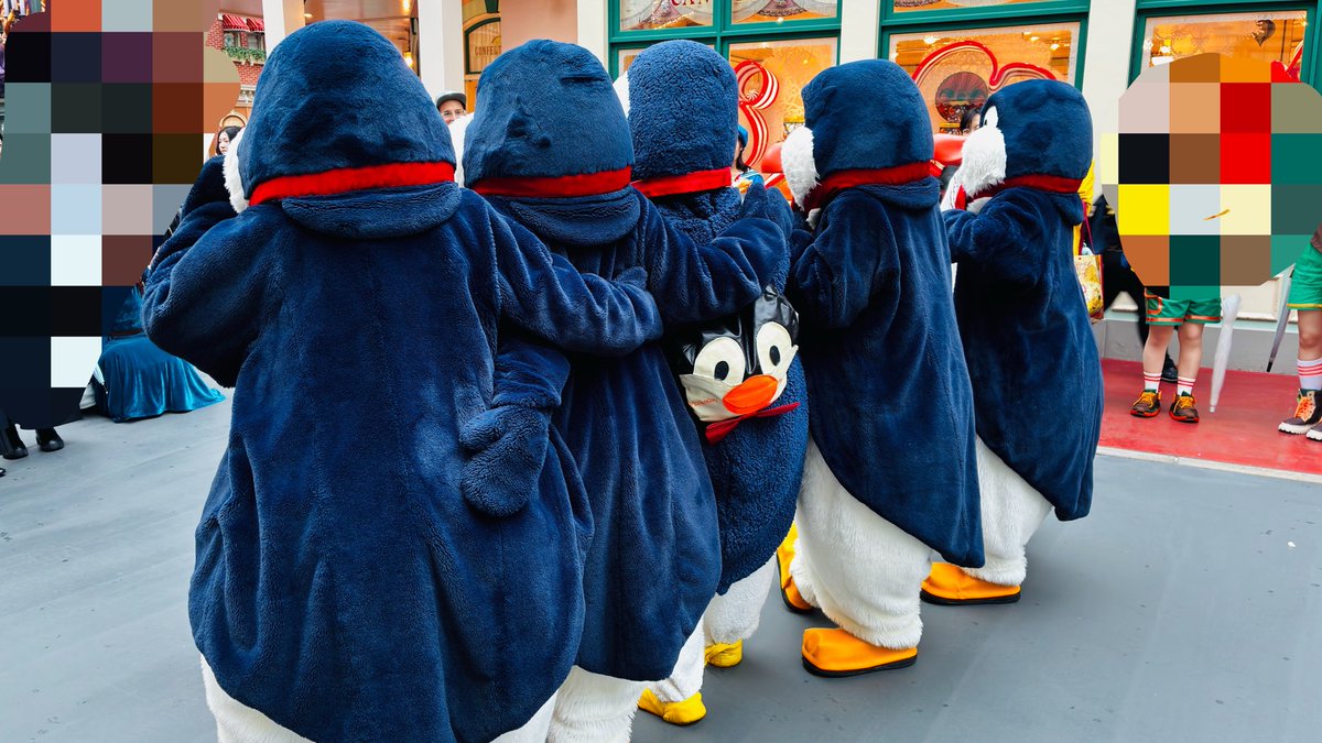 mx329xm's tweet photo. @kako_m_key 写真おすそ分けしたものです♡
後ろ姿可愛すぎました♡♡ https://t.co/W9ZSAbs2ru