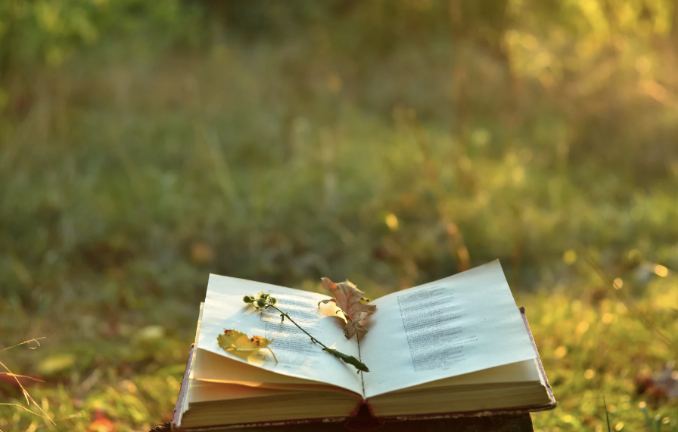 InjuveSpain's tweet photo. 📖 ✍🏻 @ONCE_oficial convoca su 40ª edición de los premios Tiflos de poesía, cuento y novela.
🗓️ La fecha final de inscripciones es el 30 de septiembre.
👩🏻💻 Info completa en: https://t.co/V3e01LCqbl
#Injuve #RedSij #PremiosTiflos #Poesía https://t.co/CuAw9v2ovE