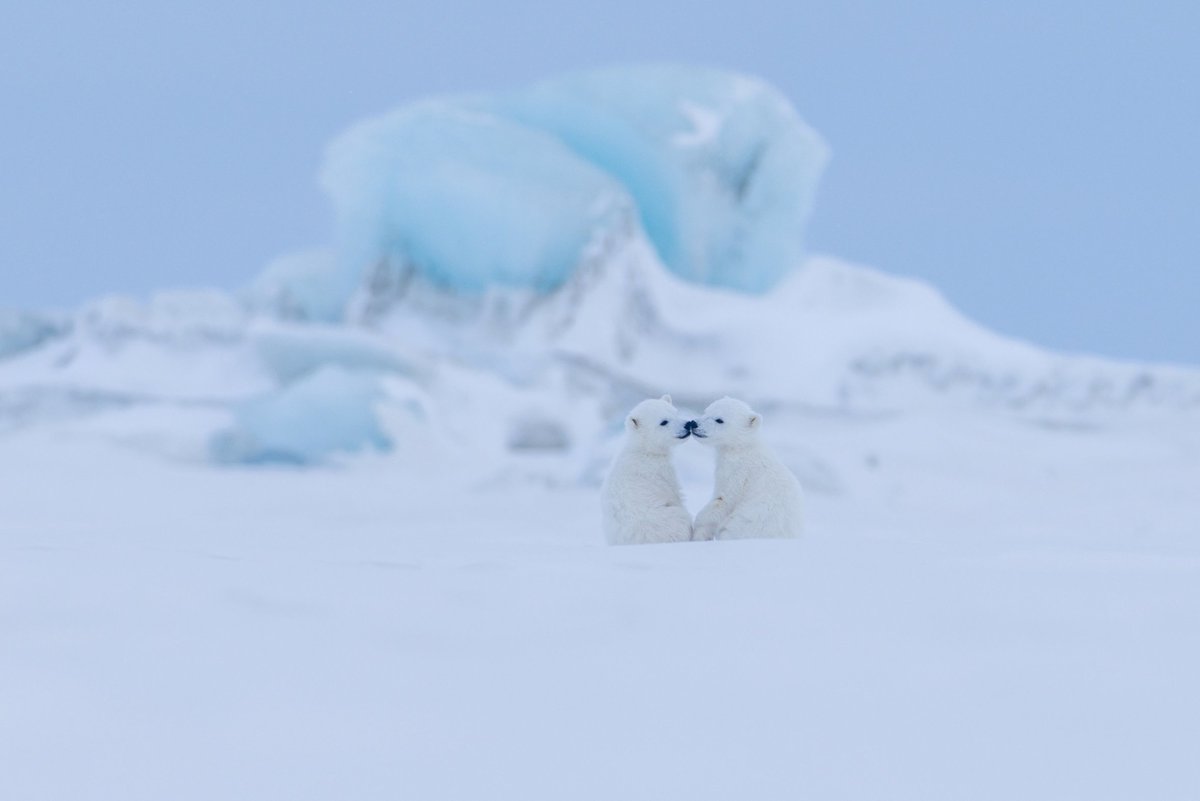 itvstudios's tweet photo. At the coldest edges of our planet, there’s still so much to discover ❄️

Meet the Polarnauts in Ages of Ice, exploring Earth’s frozen frontiers to uncover how polar ice shapes our planet.

Tonight at 10pm on PBS.

Distributed by ITV Studios. https://t.co/5AA81hbQcx