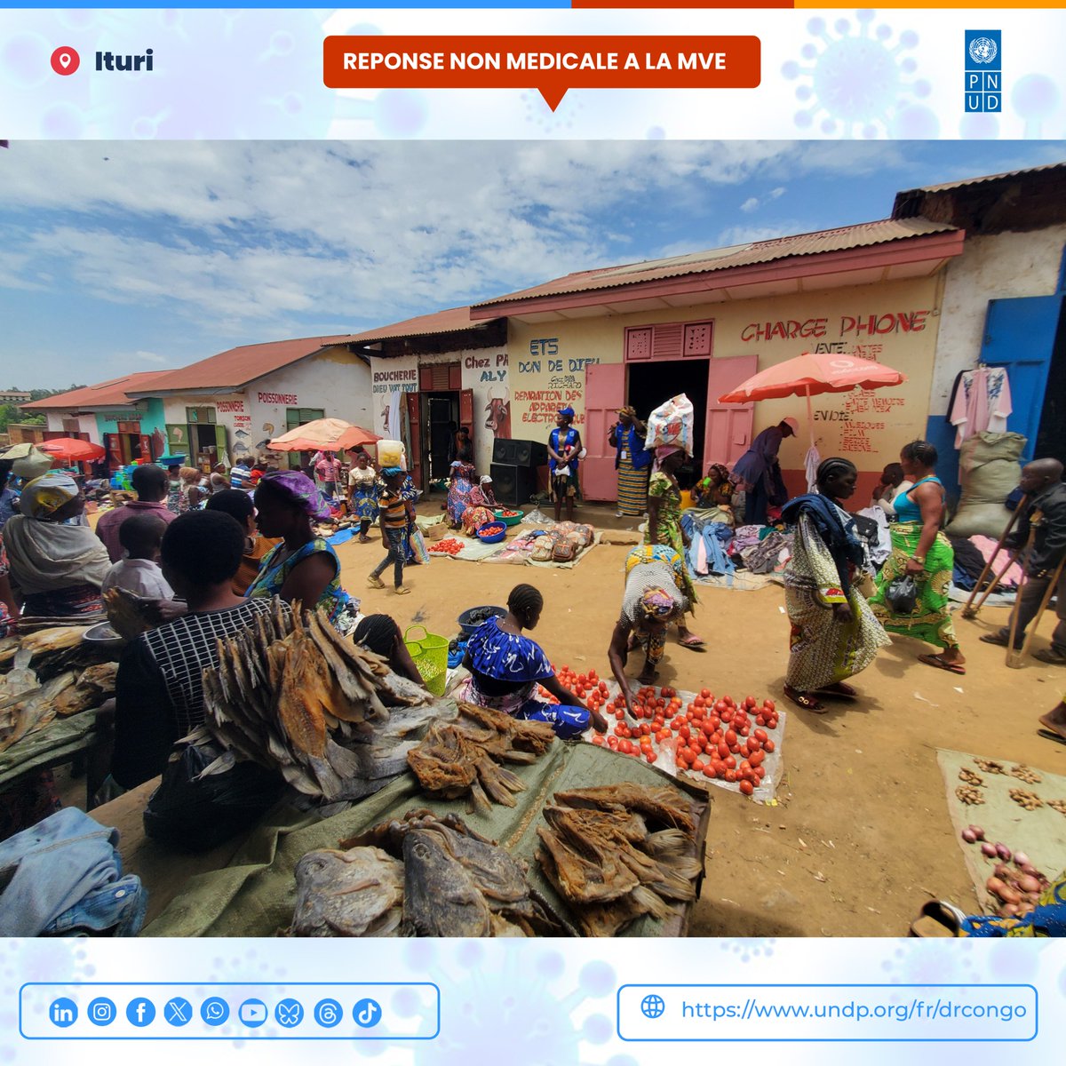 PNUDRDC's tweet photo. ITURI – EBOLA 🦠🇨🇩 | La mobilisation communautaire au cœur de la réponse non médicale
Au cœur de la riposte contre l’épidémie d’Ebola en Ituri, les Volontaires des Nations Unies déployés par le PNUD sillonnent les espaces publics pour briser les rumeurs et renforcer la prévention communautaire.

Le 11 septembre dernier, une action de sensibilisation directe menée au marché Kolomani, dans un quartier populaire de la ville de Bunia, a permis de toucher 573 personnes, dont près de 60 % de femmes. En ciblant ces actrices clés du commerce et de la vie familiale, l’initiative favorise un relais rapide des gestes de prévention au sein des foyers et des étalages.

Cette dynamique d’échange et de proximité se poursuit dans d’autres marchés stratégiques de la ville. En travaillant avec les responsables locaux et les associations de vendeurs, les VNU renforcent un dialogue de proximité, notamment en langues locales, pour faire de chaque lieu de commerce un véritable espace de prévention et un rempart communautaire contre la maladie.

#PNUDRDC 🇺🇳🇨🇩 #Ebola #Ituri #Prévention #RéponseCommunautaire
@UNDP @UNDPAfrica @MinSanteRDC @ONURDCongo