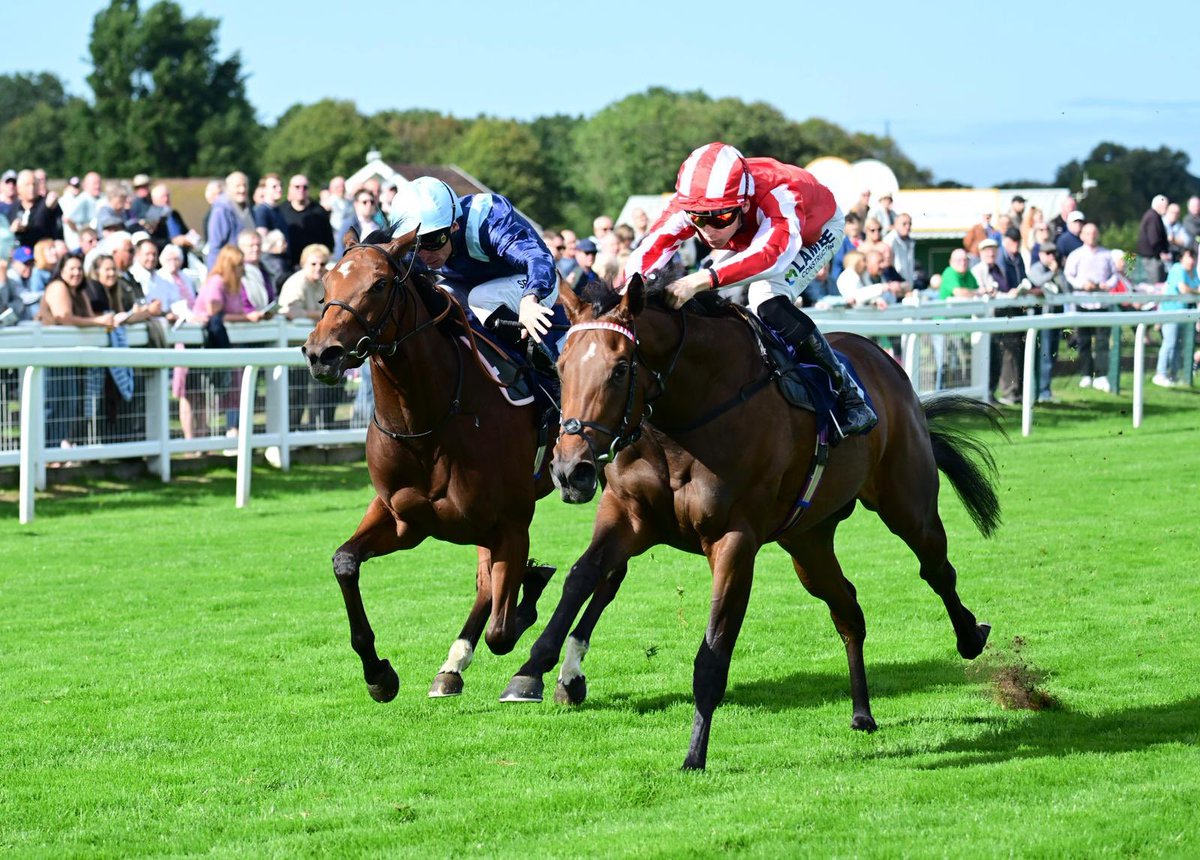 VictoriousXIII's tweet photo. Off the mark! Two-year-old Mehmas filly 𝐁𝐈𝐃𝐒𝐓𝐀 opens her account at the second time of asking at Yarmouth under @loughnane_billy for trainer @gbougheyracing 🏆

#VictoriousForever https://t.co/aF2OxL8yUP