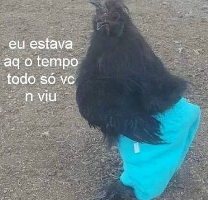 acervobichinho's tweet photo. https://t.co/fNS4I2mGf5