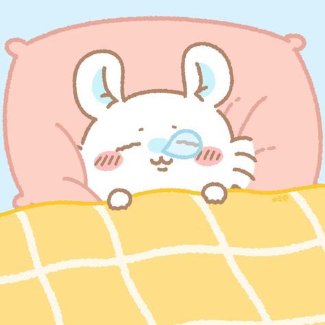 momonGa722_'s tweet photo. ちょっと早めのおやすみなさい🛌 https://t.co/sJ6yVVPk6G