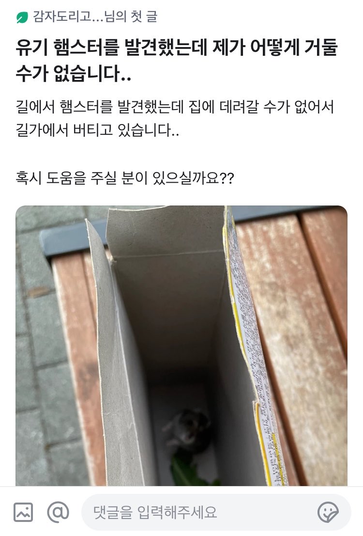 zyorang's tweet photo. ...왜 또 우리집 네마리가 된건데
임보명 호야 임보를 시작합니다😇 https://t.co/9P5G0tx9Oj
