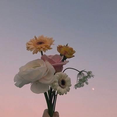 RobinMRyan1's tweet photo. 💐 🎊 🔥 🎁 🌻 💰 Wandered into a thrift shop and scored a vintage denim jacket that fits like it was made for me now it's my go to for layering over everything this fall. https://t.co/pE1V1b56rN