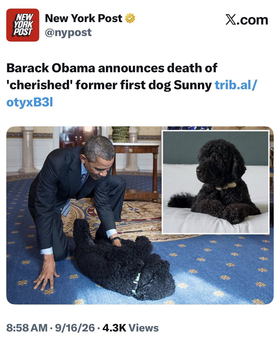 truestormyjoe's tweet photo. And as we were connecting all this last night….

Even mentioned “Dog Comms”
LAST NIGHT on the show

Now check today’s news… https://t.co/FH4Bt0068x