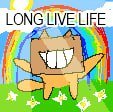 BOXYboxcat tweet picture