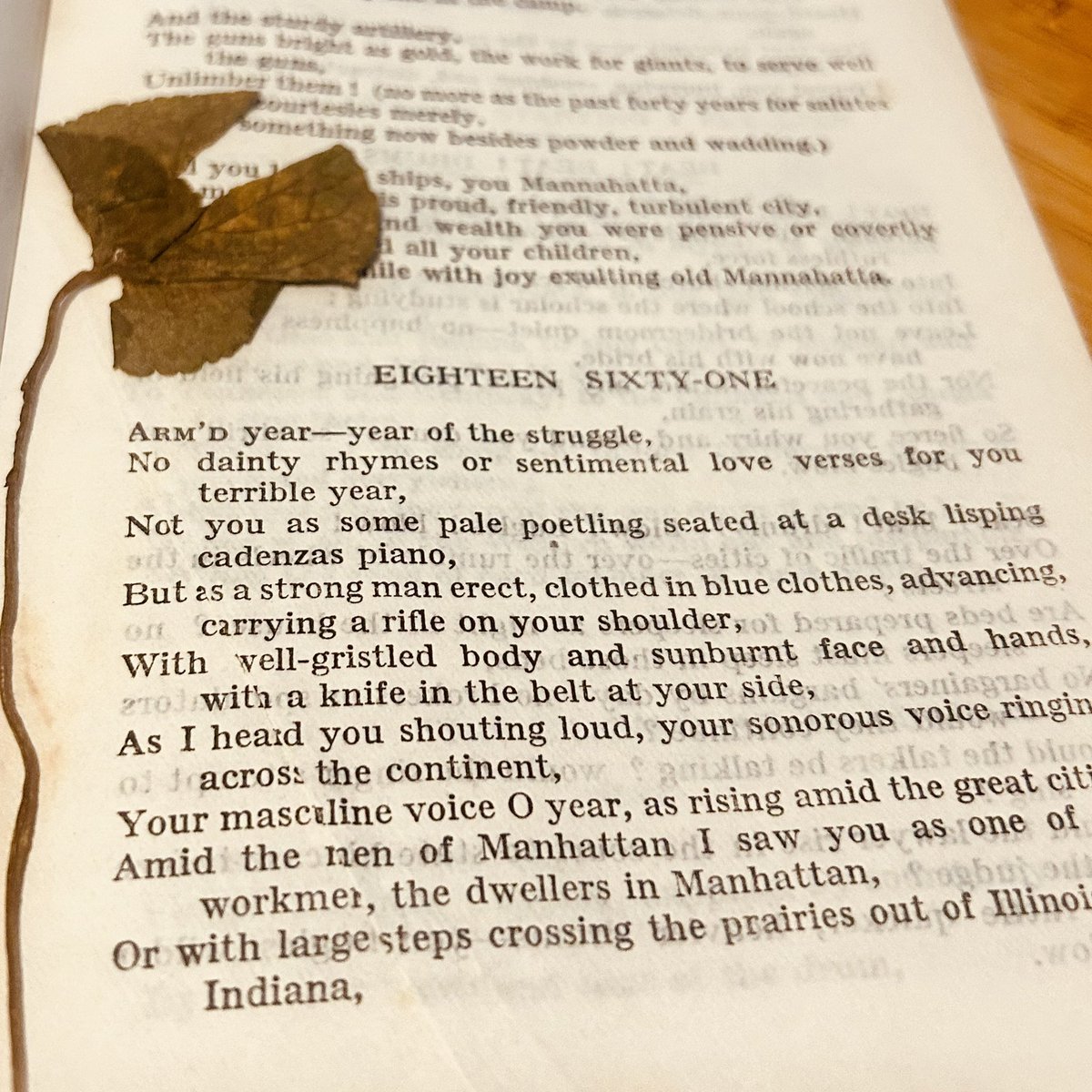PerfectlyHard's tweet photo. A discovery.

In the middle of my 1909 Walt Whitman.

A pressed flower. Preserved. Ancient.

I shall leave it there, for the memory of whoever placed it between the pages.

#waltwhitman https://t.co/alkN7Ko3yl