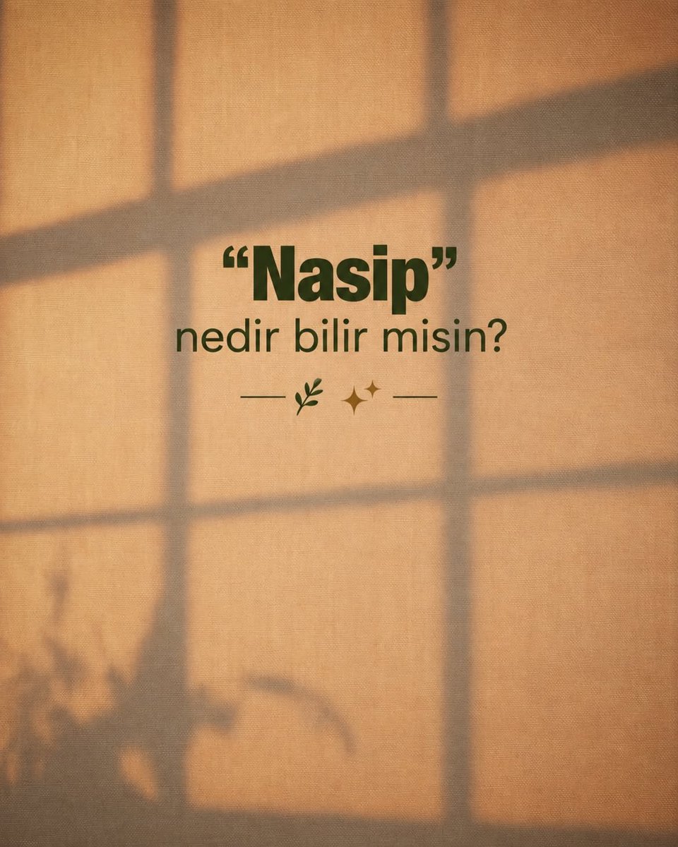 sessiz_gucc's tweet photo. Nasipse gelir, https://t.co/WkN5BUWxVp