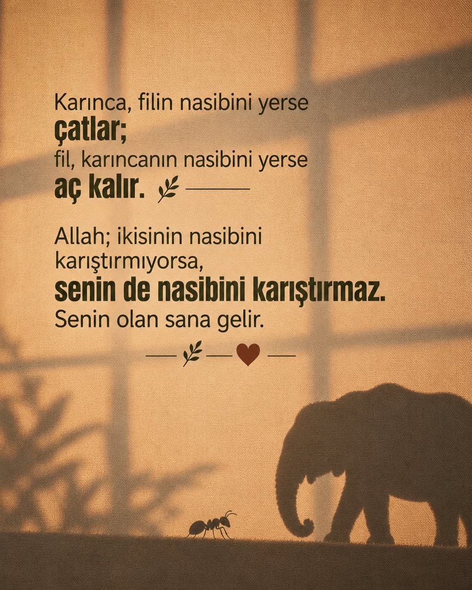 sessiz_gucc's tweet photo. Nasipse gelir, https://t.co/WkN5BUWxVp