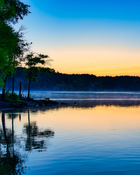 mrosennc's tweet photo. Golden hour lakeside moments.
Which is your favorite?👇
#JordanLake #Lakeside #GoldenHour #Reflections #DiscoverCarolinas #NikonCreators https://t.co/HydPInrpHu