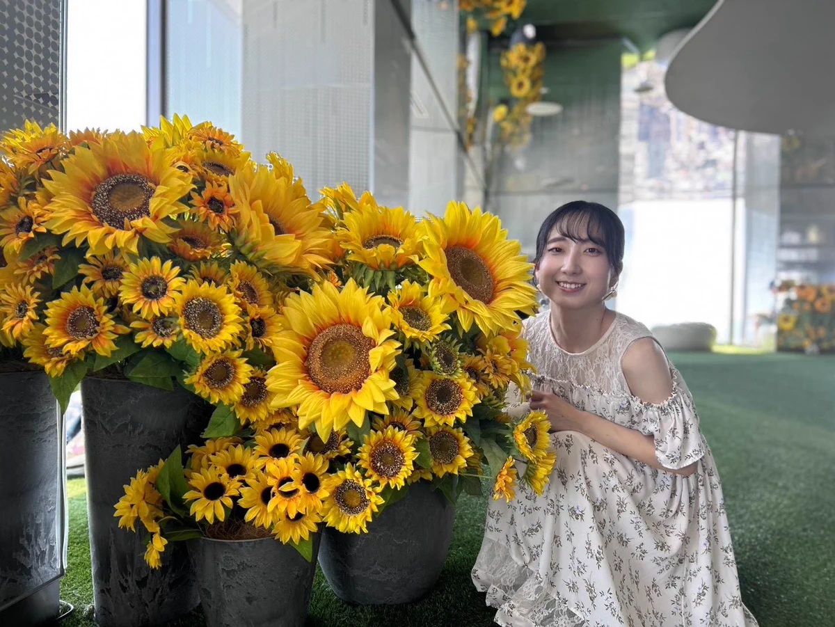 柏木明日香 on X: 