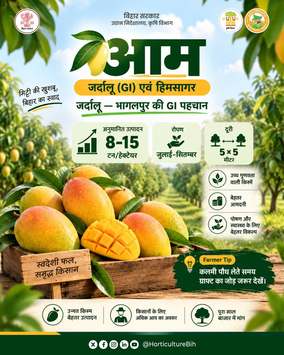 HorticultureBih's tweet photo. बिहार के स्वाद और पहचान को समेटे जर्दालू एवं हिमसागर आम की उन्नत बागवानी अपनाएँ।
#horticulture https://t.co/3xK1Y1Duwb