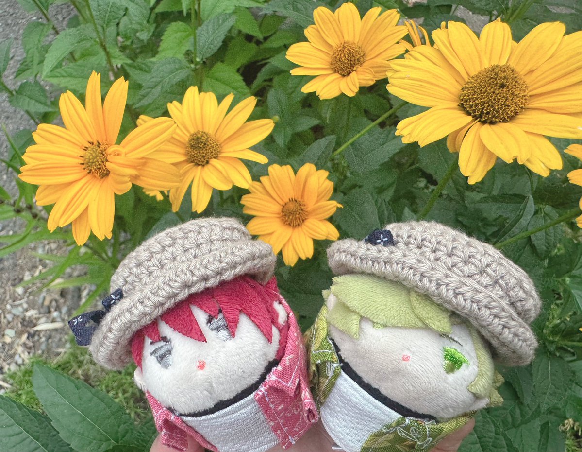 li03gh10t1's tweet photo. #TLを花でいっぱいにしよう https://t.co/W3ajEgOcpJ