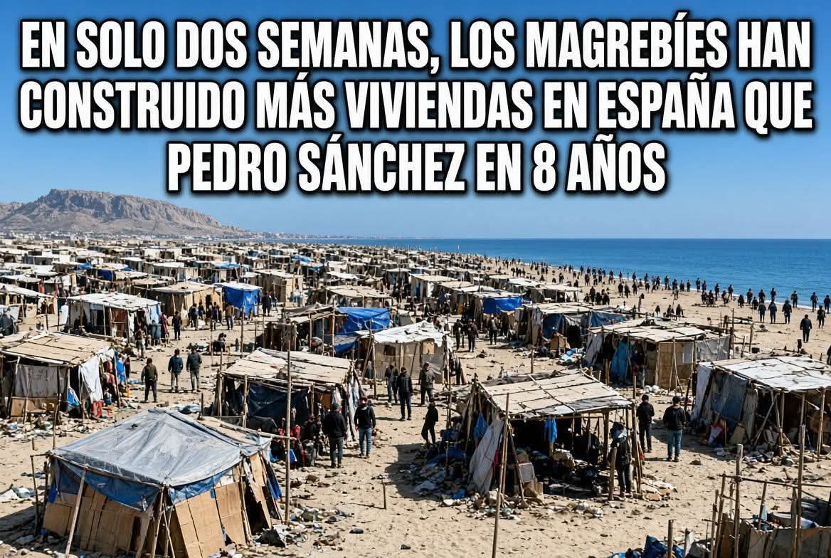 Franzisko13's tweet photo. @sanchezcastejon https://t.co/6x1t1kxV96