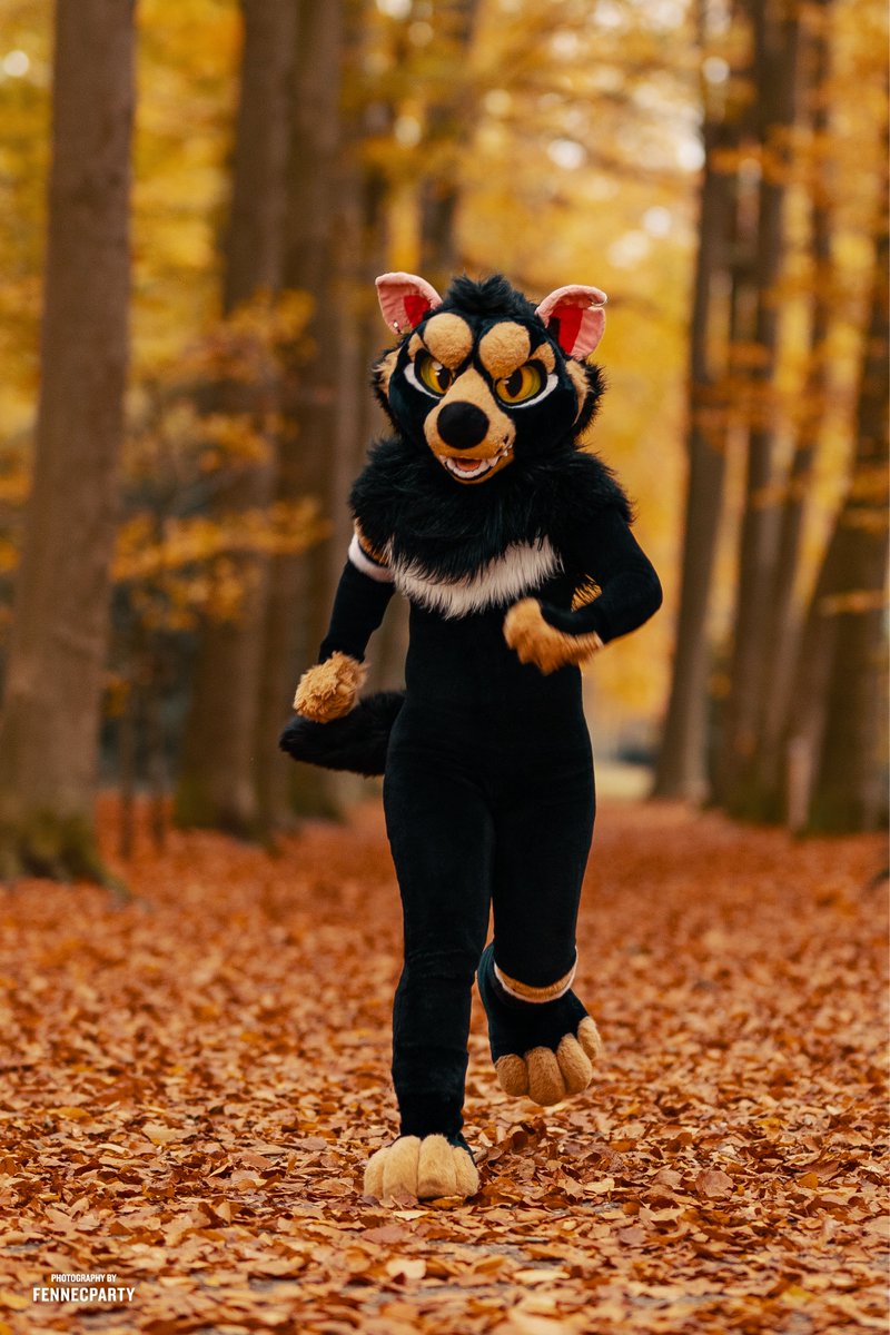 Nihilusion's tweet photo. I run I run I run 🍂 

📸 @FENNECPARTY https://t.co/xo1QHLJ3nI