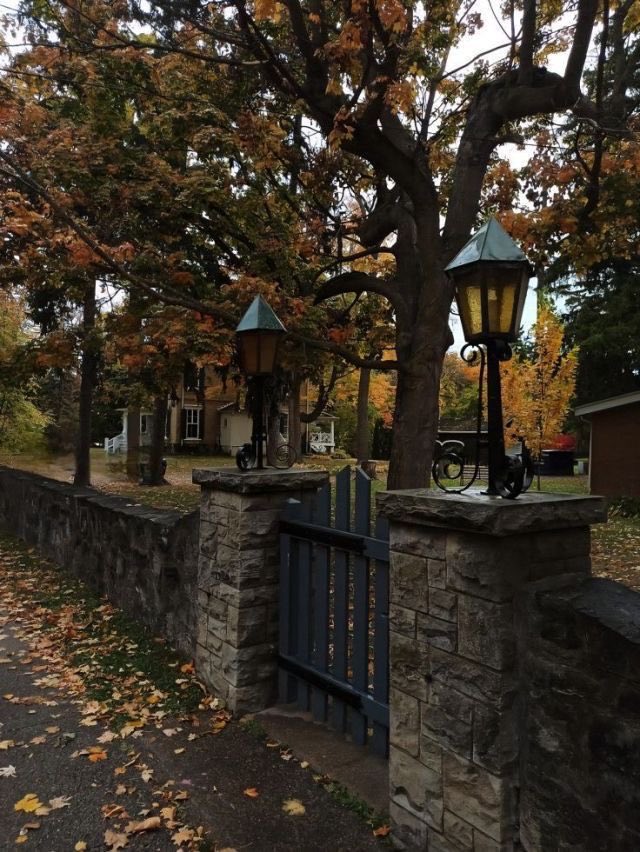 spooky_nature's tweet photo. autumn vibes 🍂 https://t.co/IyZ3pDyOrP