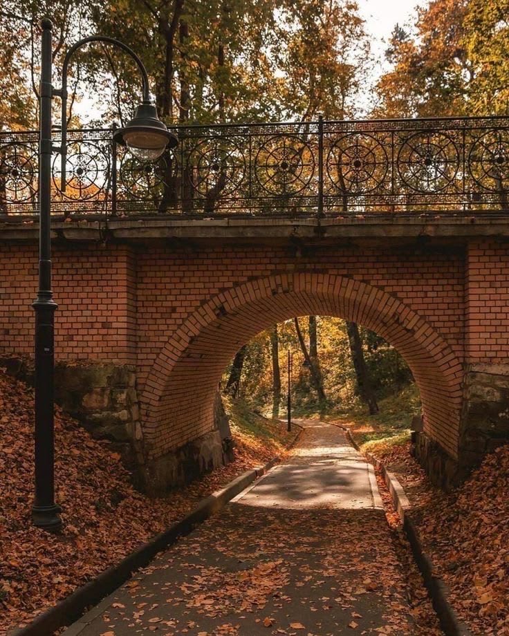 spooky_nature's tweet photo. autumn vibes 🍂 https://t.co/IyZ3pDyOrP
