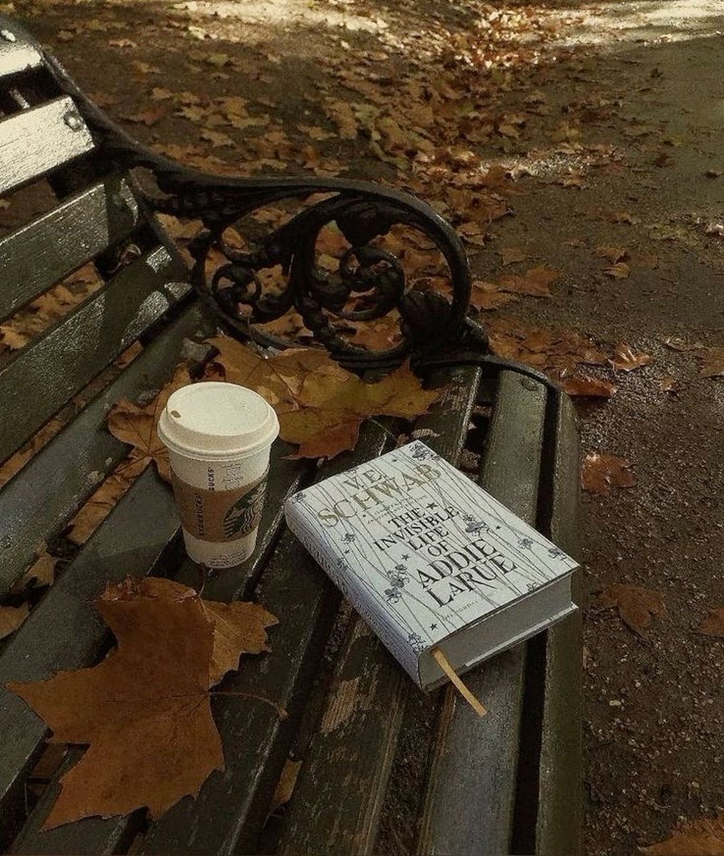 spooky_nature's tweet photo. autumn vibes 🍂 https://t.co/IyZ3pDyOrP