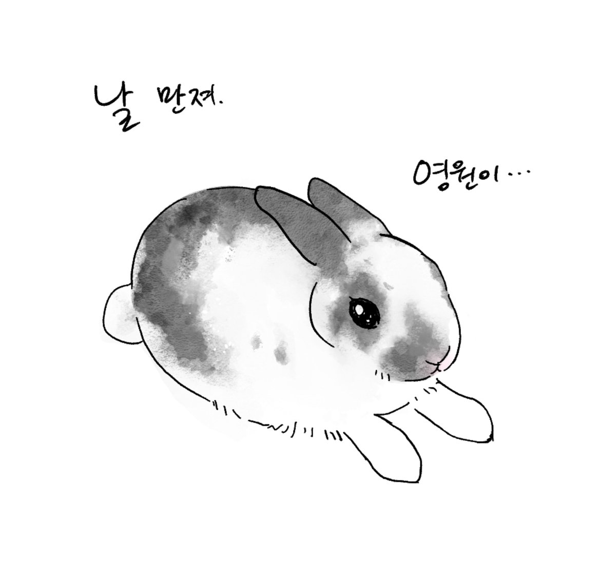 bnnyfrm's tweet photo. 어떻게 토끼가 수묵화 https://t.co/BJcFO97ZAr