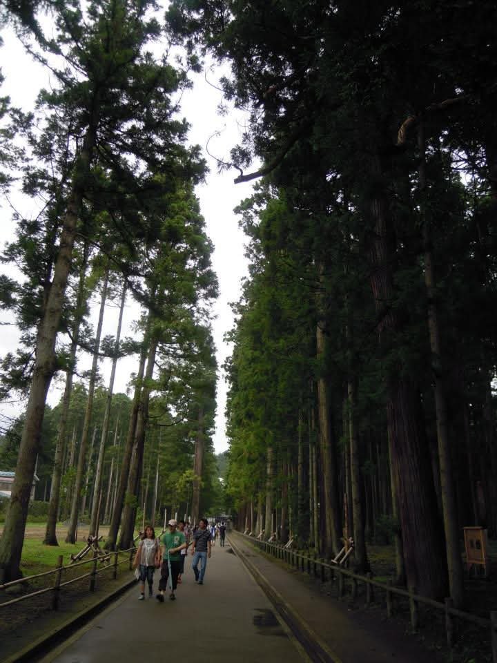 mido_u13's tweet photo. 振り返りお出掛け記録
宮城県 瑞巌寺

瑞巌寺の門をくぐると杉並木
東日本大震災の被害で多くの巨木が枯死し伐採されたそう
震災前はもっと密度高く杉の木が生えていたんだろうね
3枚目は庫裡
国宝になっている本堂がまさかの回収中…残念
こちらの庫裡の中から回収中の本堂裏が見学出来ました https://t.co/rgZdsPqfmx