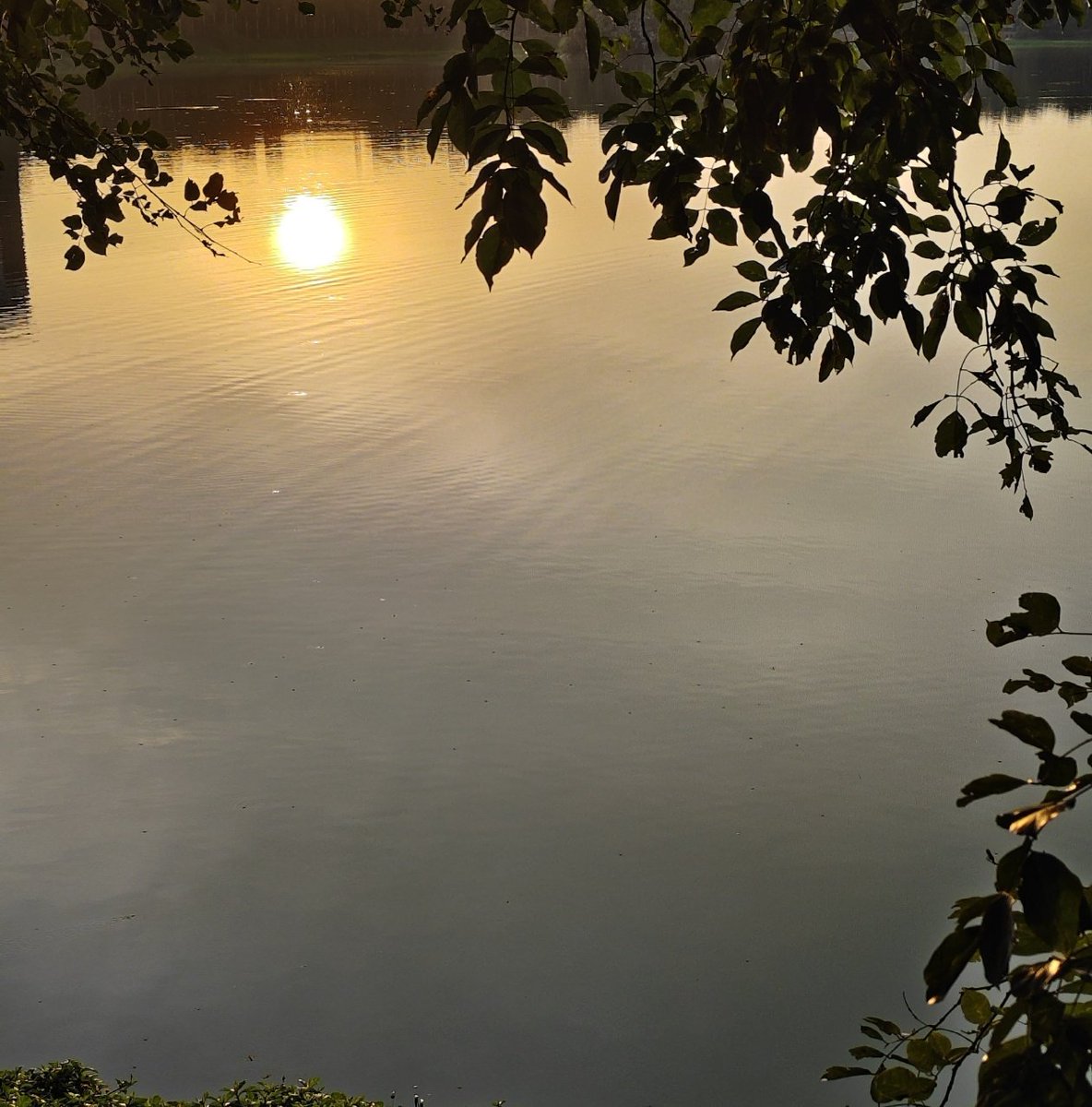 Bingo_mk's tweet photo. #theme_pic_India_Reflection
#Nature
The sun's reflection on water seems as if it's in the sky... https://t.co/GUF6cFUOeB