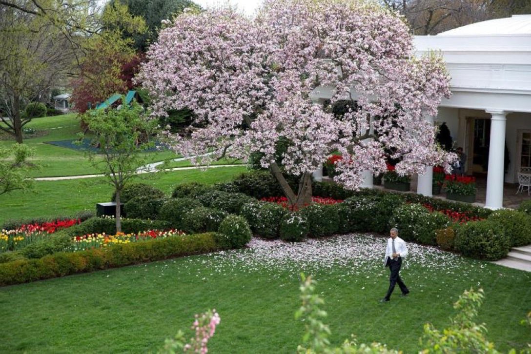 brontyman's tweet photo. We had a White House that had grandeur.
We had a Rose Garden that was beautiful.
We had a President who we could be proud of.
We had a dream of middle class prosperity.
We had a hope for a better tomorrow for our kids.
We can have it all again…
Vote Every Republican out. https://t.co/bBwqE4dQlq