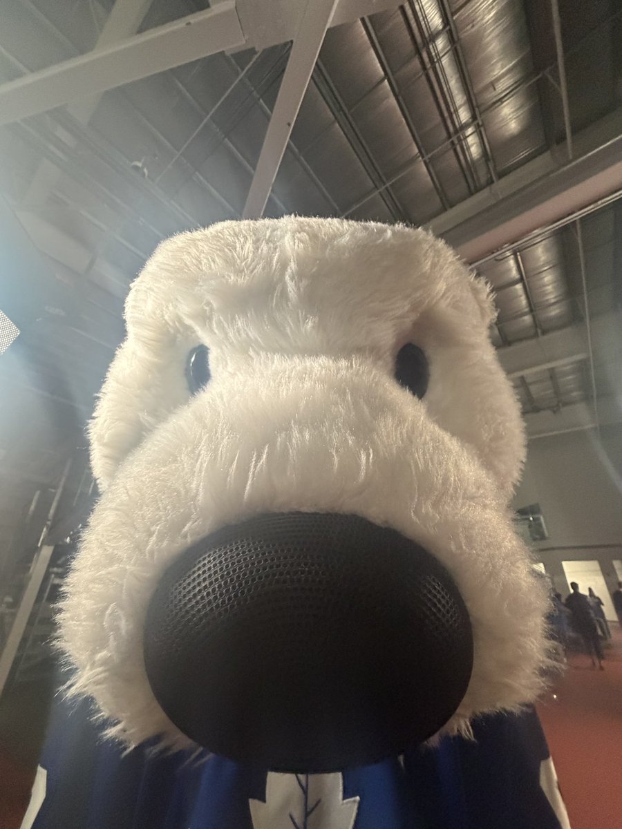 MapleLeafs's tweet photo. happy marketing day 🐻‍❄️ https://t.co/VhoPvP1yGC