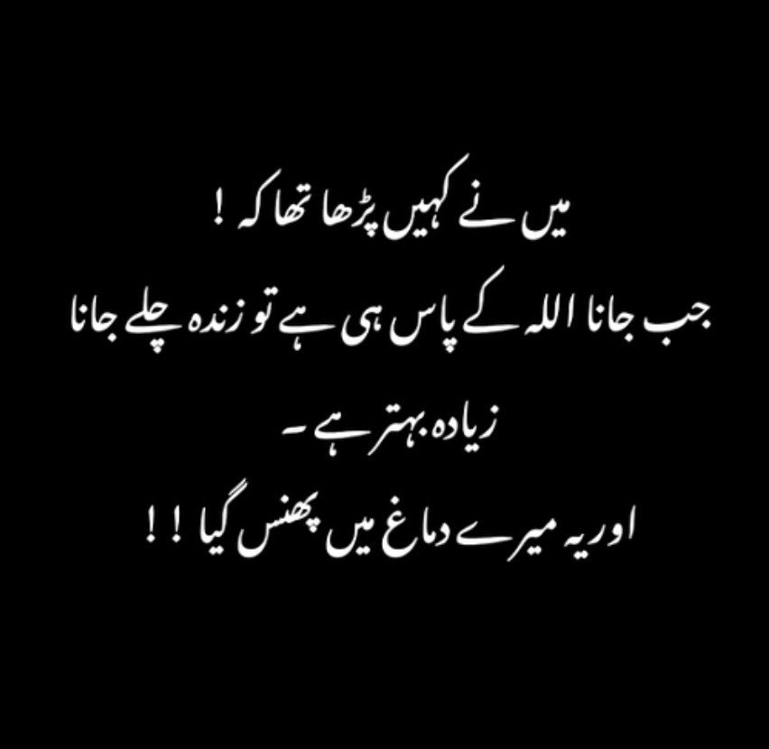 PakForeverIA's tweet photo. زنده مطلب کہ آپ اپنی زندگی ہی میں اللہ کے بتائے راستے پر چلنا شروع کر دیں تو ہی بہتر ہے بعد میں مر کے خالی ہاتھ بھی تو جانا ہے، بہتر ہو گا کہ زندگی میں ہی اپنے آپ کو اللہ کے حوالے کر دیں۔ https://t.co/GqvIeWtce8