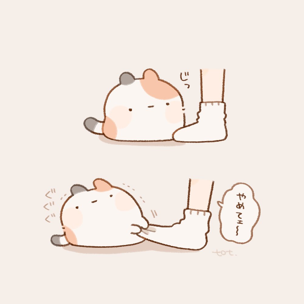 _to_tto's tweet photo. 靴下泥棒 https://t.co/JfCLeBzXm6