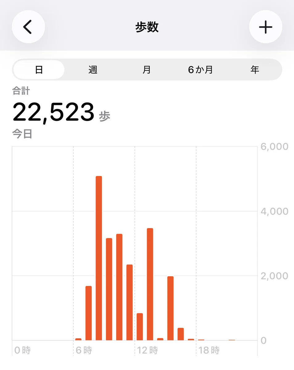 2 万 歩 距離