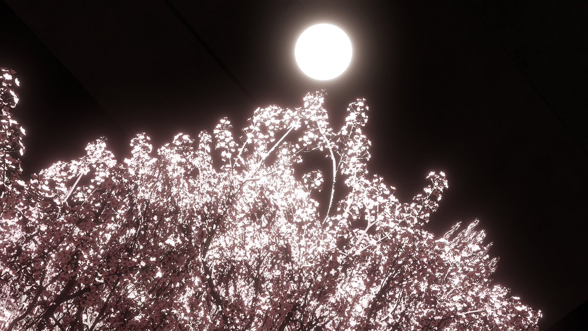 cho_co_rock's tweet photo. To Bloom In The Darkness

VRChat World : Forgotten Gardens
Author : Babylonia_ink

#VRChat
#VRChat_world紹介
#VRChatPhotography https://t.co/b44XMoj3B5